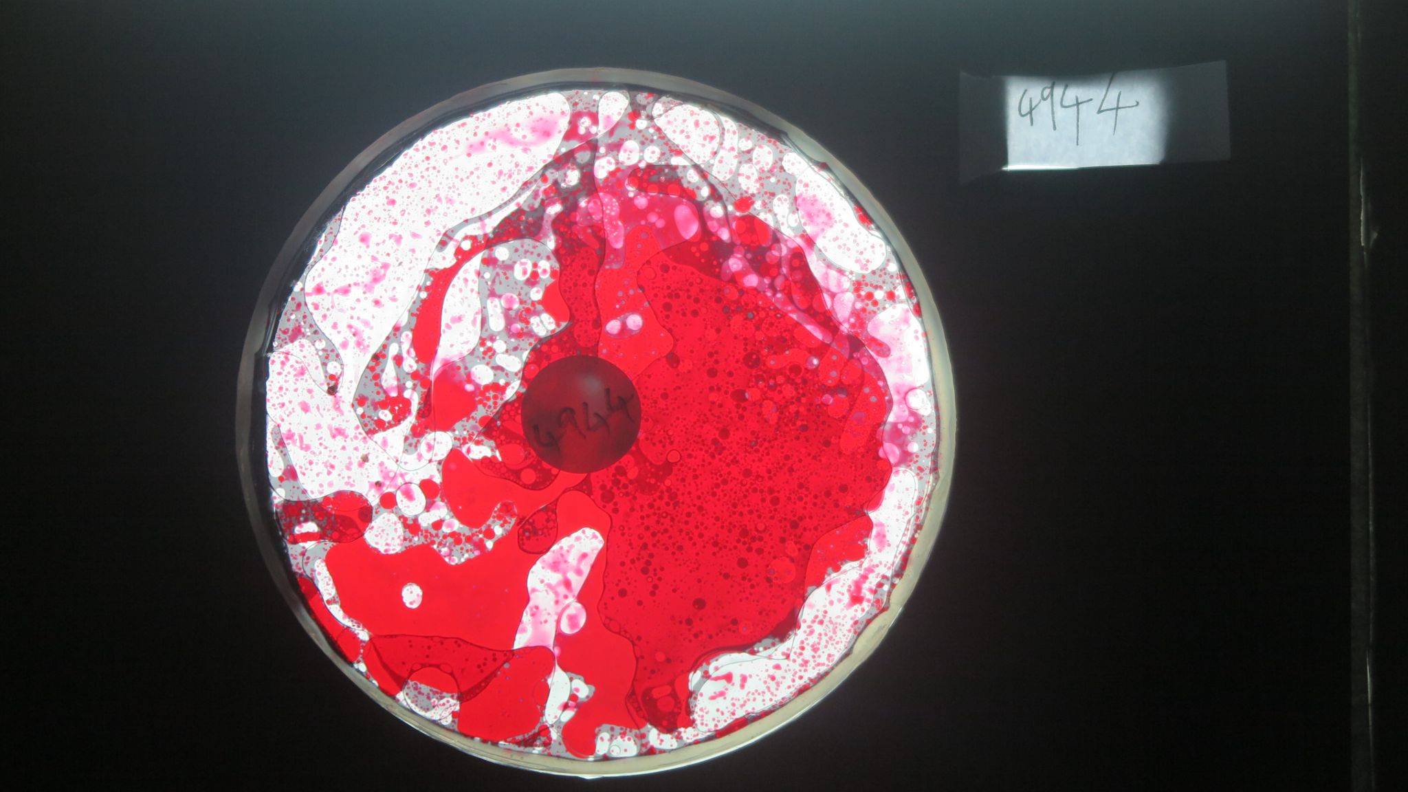 BV4944 bubble vision oil wheel